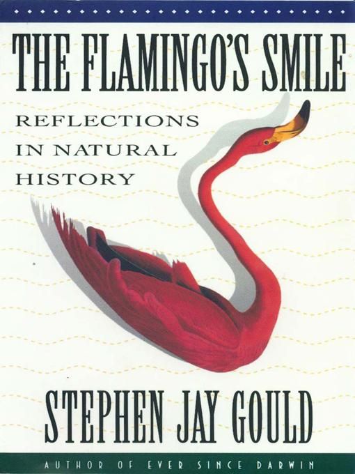 Produktbild: The Flamingo's Smile