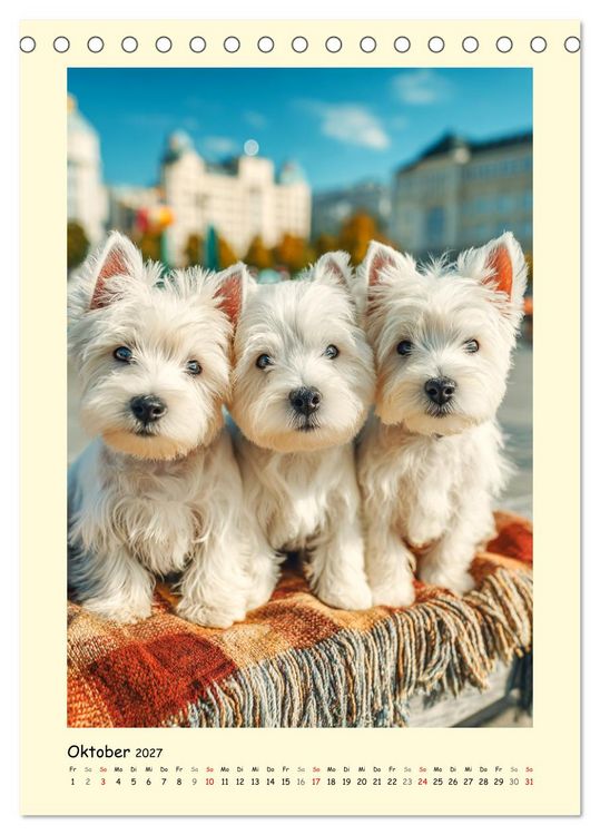 Produktbild: S&uuml;&szlig;er Wuschelkopf. West Highland White Terrier Momente (Tischkalender 2027 DIN A5 hoch), CALVENDO Monatskalender