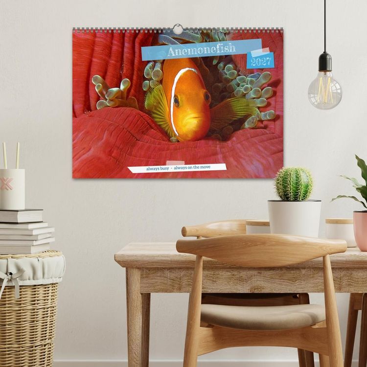 Produktbild: Anemonefish - always busy - always on the move (Wall Calendar 2027 DIN A3 landscape), CALVENDO 12 Month Wall Calendar