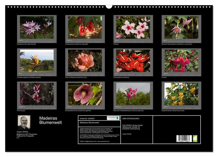 Produktbild: Madeiras Blumenwelt (Wandkalender 2027 DIN A2 quer), CALVENDO Monatskalender