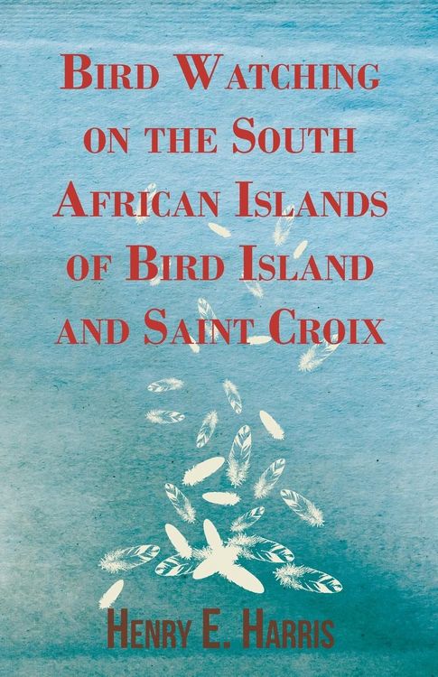 Produktbild: Bird Watching on the South African Islands of Bird Island and Saint Croix