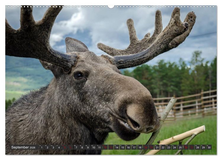Produktbild: Norwegen, Oppland (Wandkalender 2026 DIN A2 quer), CALVENDO Monatskalender