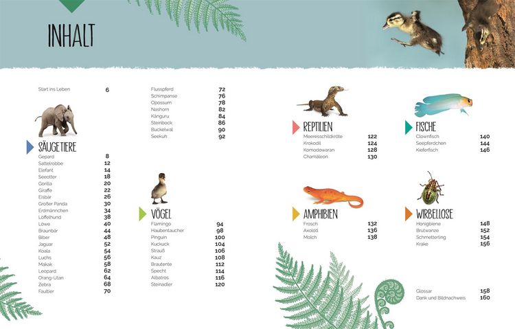 Produktbild: Tierkinder der Wildnis