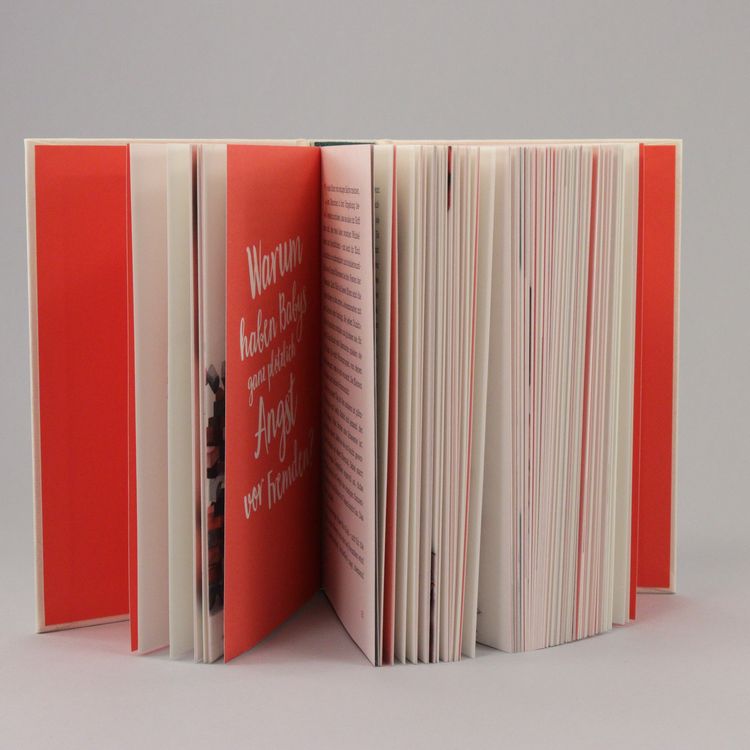 Produktbild: Das Kinderverstehbuch