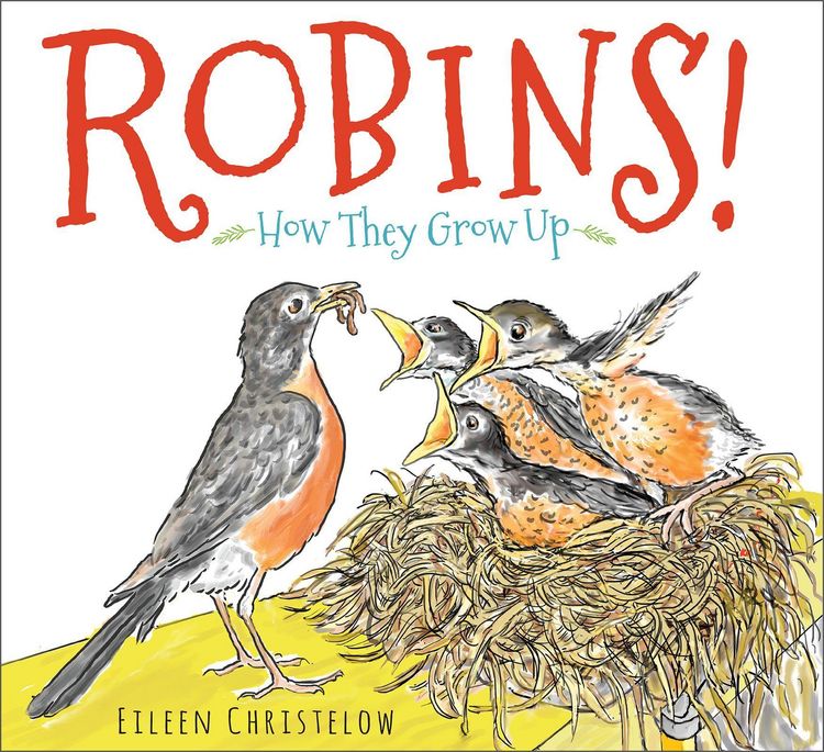 Produktbild: Robins!