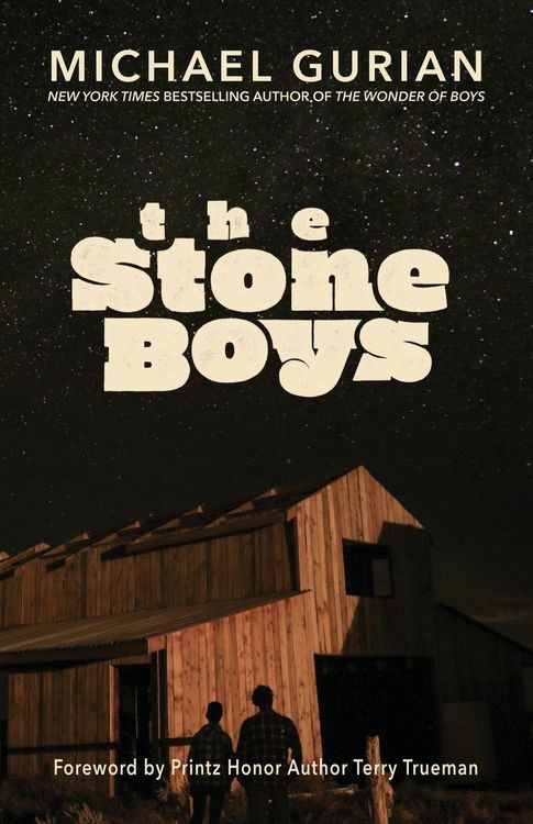 Produktbild: The Stone Boys