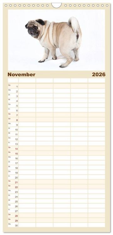 Produktbild: Familienplaner 2026 - Mops - unwiderstehlich und charmant mit 5 Spalten (Wandkalender, 21 x 45 cm) CALVENDO