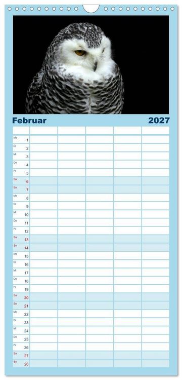Produktbild: Familienplaner 2027 - Greifv&ouml;gel, Eulen und K&auml;uze mit 5 Spalten (Wandkalender, 21 x 45 cm) CALVENDO
