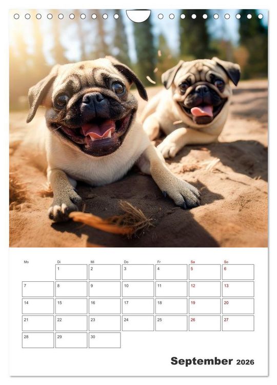 Produktbild: MOPS Pfotengl&uuml;ck in Faltenform (Wandkalender 2026 DIN A4 hoch), CALVENDO Monatskalender