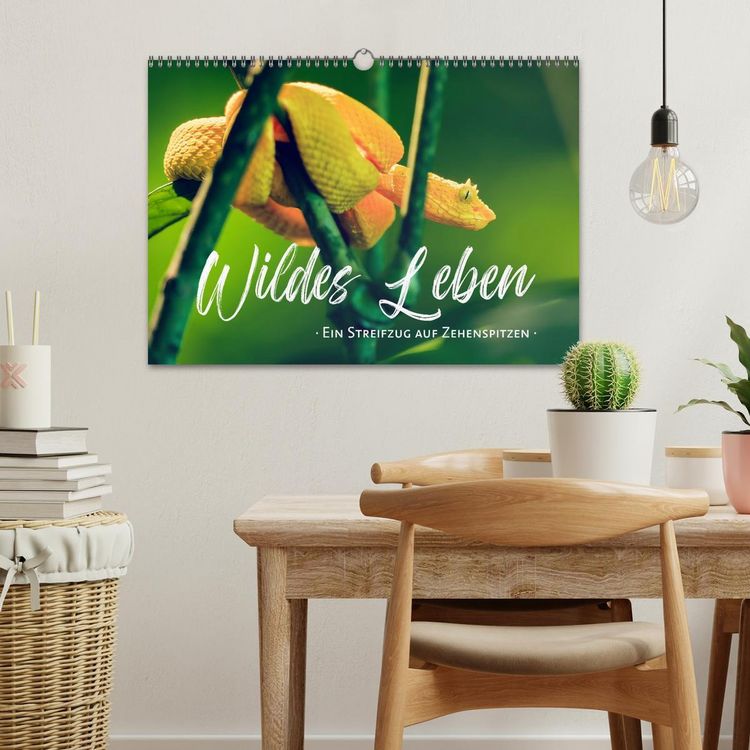Produktbild: Wildes Leben - Ein Streifzug auf Zehenspitzen (Wandkalender 2026 DIN A3 quer), CALVENDO Monatskalender