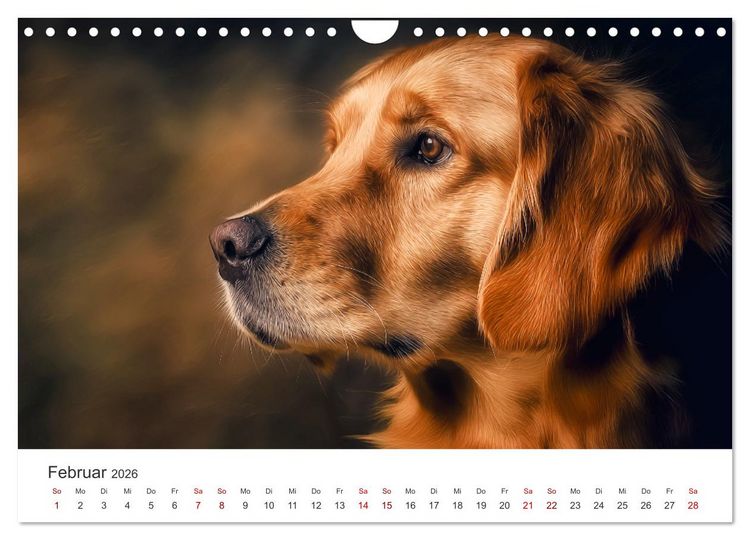 Produktbild: Herz aus Gold - Retriever zum Verlieben (Wandkalender 2026 DIN A4 quer), CALVENDO Monatskalender