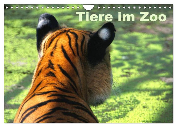 Produktbild: Tiere im Zoo (Wandkalender 2026 DIN A4 quer), CALVENDO Monatskalender