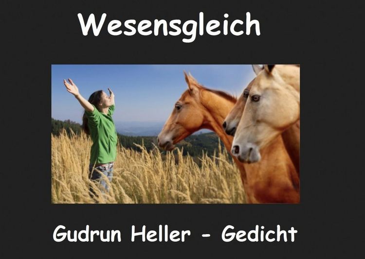 Produktbild: Wesensgleich
