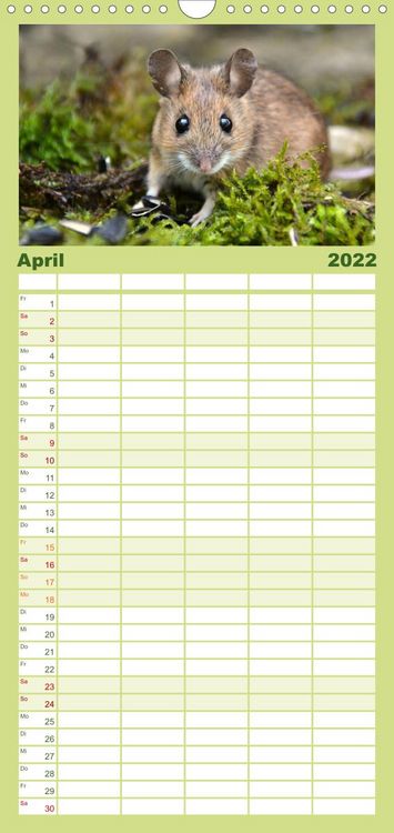 Produktbild: Familienplaner ... hier kommt die Maus ... (Wandkalender 2022 , 21 cm x 45 cm, hoch)