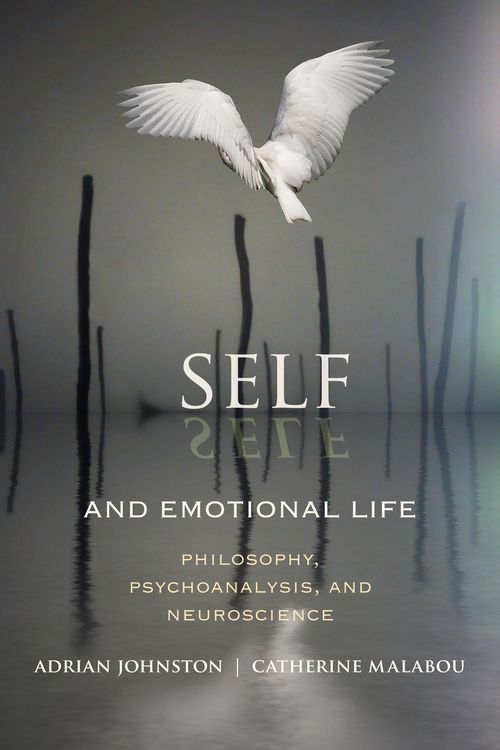 Produktbild: Self and Emotional Life