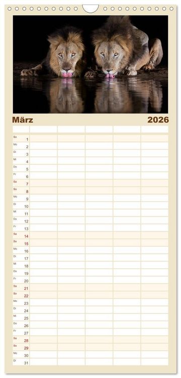 Produktbild: Familienplaner 2026 - S&uuml;dafrika wunderbare Tierwelt mit 5 Spalten (Wandkalender, 21 x 45 cm) CALVENDO