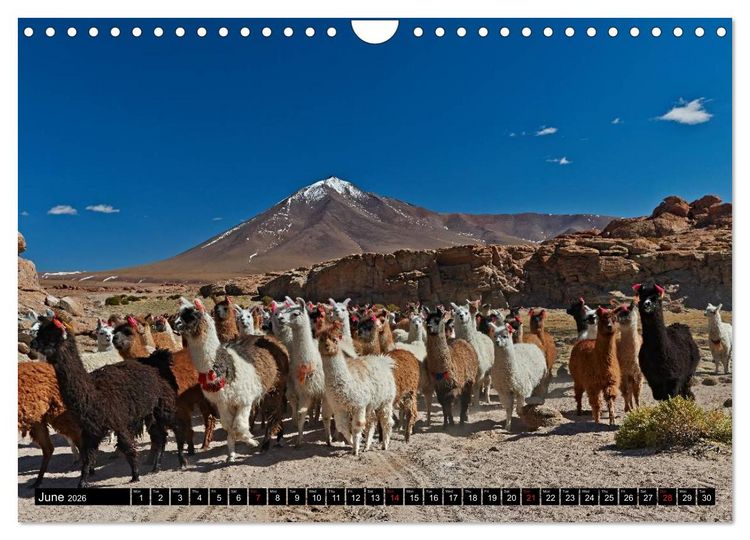Produktbild: Bolivia Andean landscapes / UK-Version (Wall Calendar 2026 DIN A4 landscape), CALVENDO 12 Month Wall Calendar