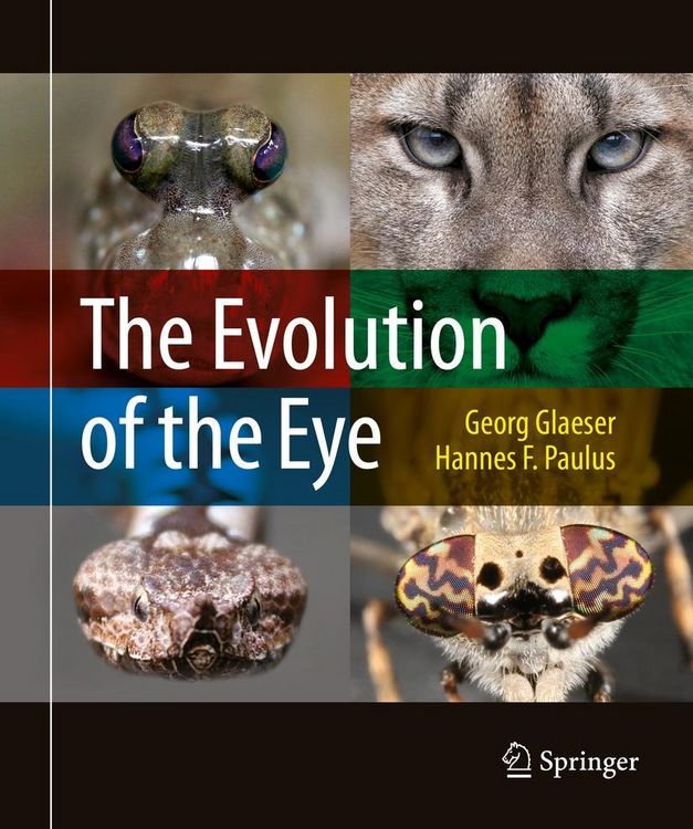 Produktbild: The Evolution of the Eye