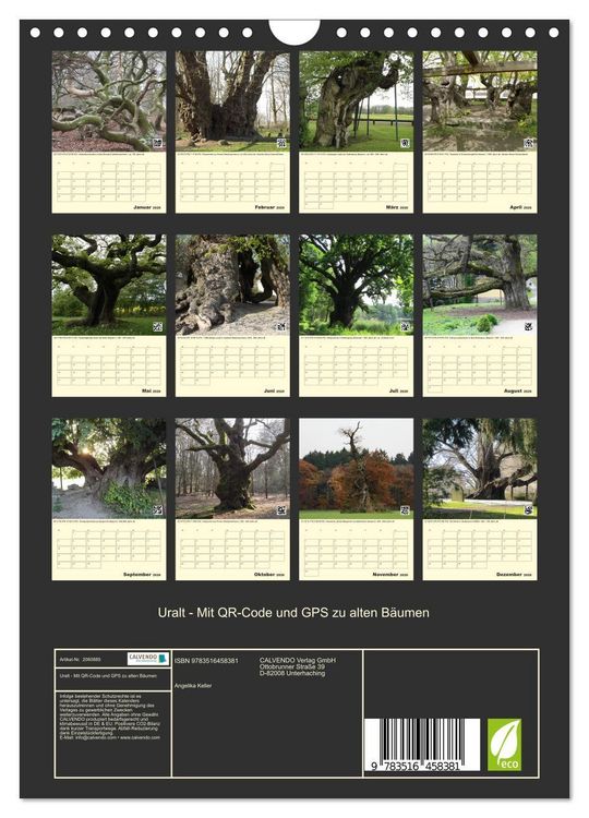 Produktbild: Uralt - Mit QR-Code und GPS zu alten B&auml;umen (Wandkalender 2026 DIN A4 hoch), CALVENDO Monatskalender