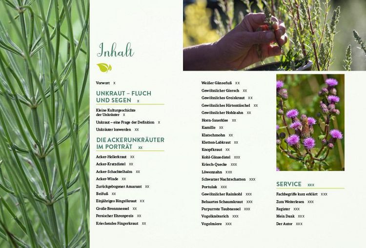 Produktbild: Geheimnisse der Unkr&auml;uter
