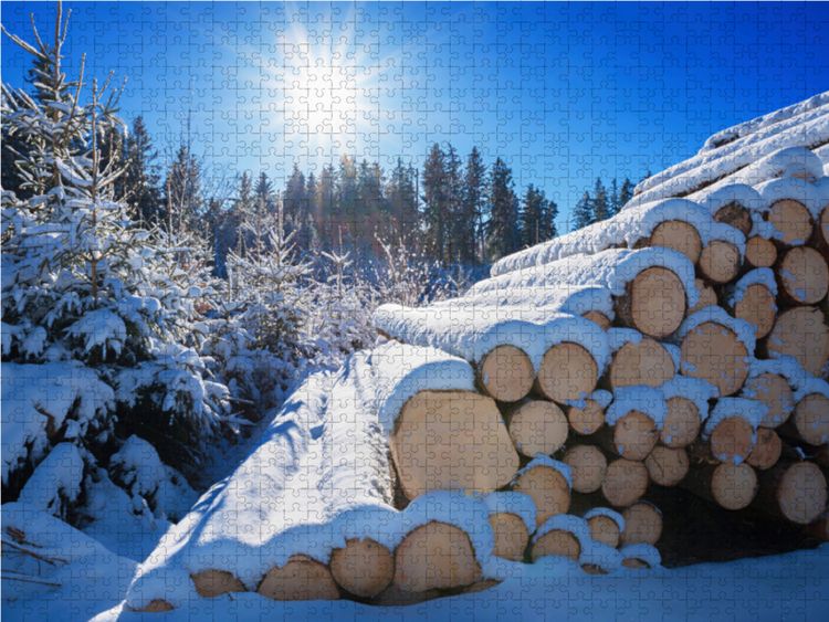 Produktbild: CALVENDO Puzzle Winterwald 1000 Teile Lege-Gr&ouml;&szlig;e 64 x 48 cm Foto-Puzzle Bild von SusaZoom