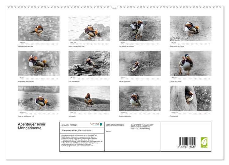 Produktbild: Abenteuer einer Mandarinente (hochwertiger Premium Wandkalender 2026 DIN A2 quer), Kunstdruck in Hochglanz