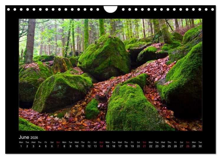 Produktbild: The Black Forest - UK Version (Wall Calendar 2026 DIN A4 landscape), CALVENDO 12 Month Wall Calendar