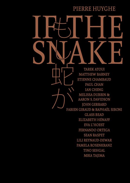 Produktbild: Pierre Huyghe. If the Snake