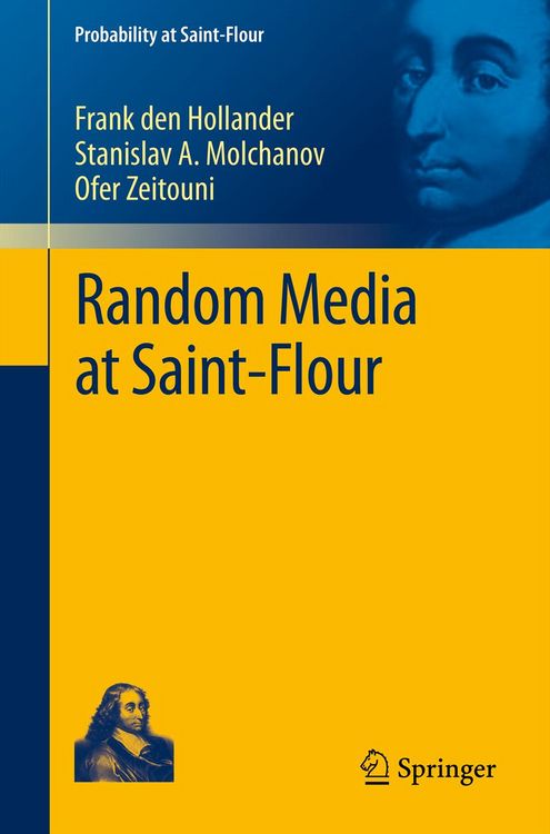 Produktbild: Random Media at Saint-Flour