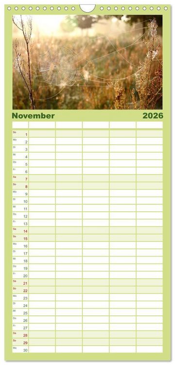 Produktbild: Familienplaner 2026 - Sanfte Natur mit 5 Spalten (Wandkalender, 21 x 45 cm) CALVENDO