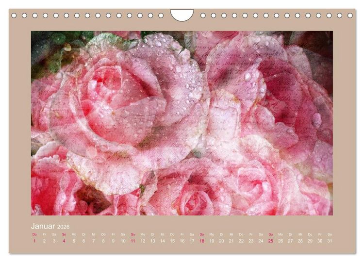Produktbild: Romantische Rosen (Wandkalender 2026 DIN A4 quer), CALVENDO Monatskalender