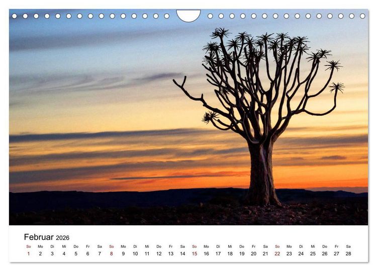 Produktbild: B&auml;ume in Namibias Landschaften (Wandkalender 2026 DIN A4 quer), CALVENDO Monatskalender