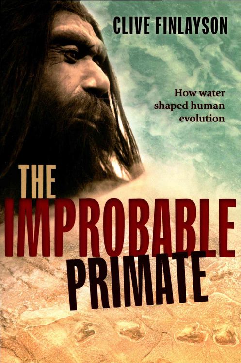 Produktbild: The Improbable Primate
