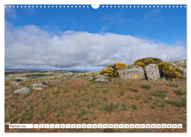 Produktbild: Camino Levante - magische Momente auf stillen Wegen (Wandkalender 2026 DIN A3 quer), CALVENDO Monatskalender