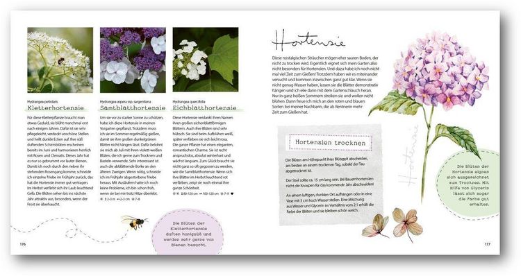 Produktbild: GartenGl&uuml;ck
