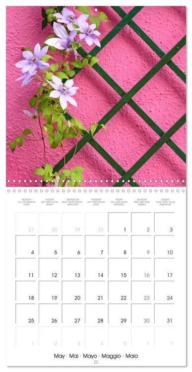 Produktbild: Leaves and flowers of Burano (Wall Calendar 2026 12 &times; 12 Inch) CALVENDO 12 Month Wall Calendar