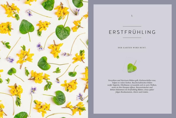 Produktbild: Das gr&uuml;ne Wunder