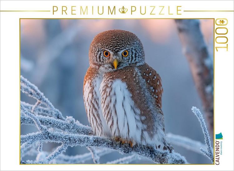 Produktbild: CALVENDO Puzzle Perlkauz - kleine Eule im eisigen Winter | 1000 Teile Lege-Gr&ouml;&szlig;e 64x48cm Foto-Puzzle f&uuml;r gl&uuml;ckliche Stunden