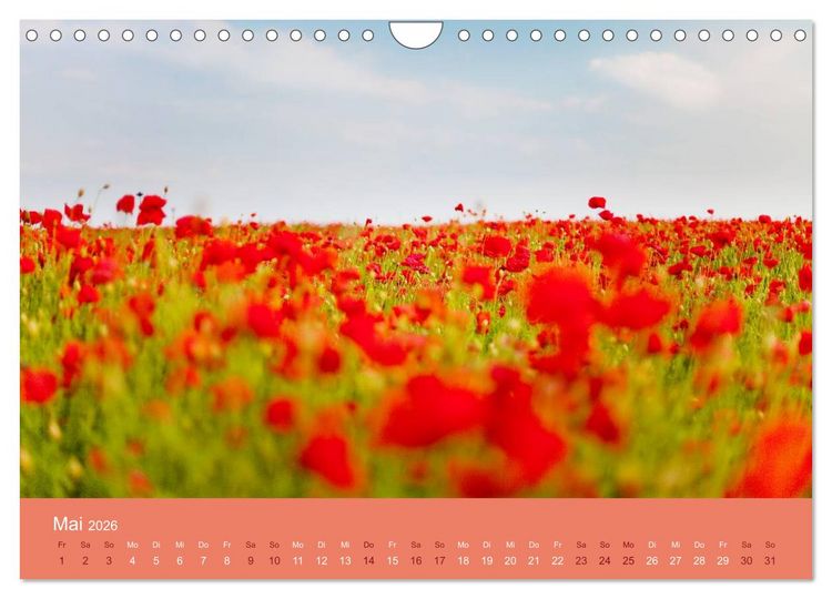 Produktbild: Berg, Land und Meer - Eine Reise durch die Landschaften (Wandkalender 2026 DIN A4 quer), CALVENDO Monatskalender