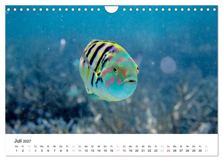 Produktbild: Malediven - Das Paradies im Indischen Ozean I (Wandkalender 2027 DIN A4 quer), CALVENDO Monatskalender