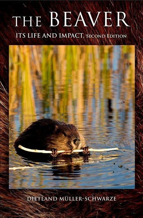 Produktbild: Beaver 2/e