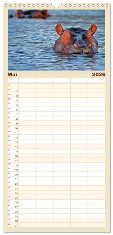 Produktbild: Familienplaner 2026 - Flusspferde - gem&uuml;tlich gef&auml;hrlich mit 5 Spalten (Wandkalender, 21 x 45 cm) CALVENDO