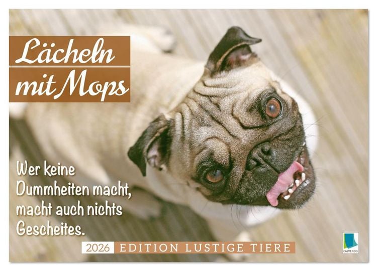 Produktbild: L&auml;cheln mit Mops (Wandkalender 2026 DIN A4 quer), CALVENDO Monatskalender