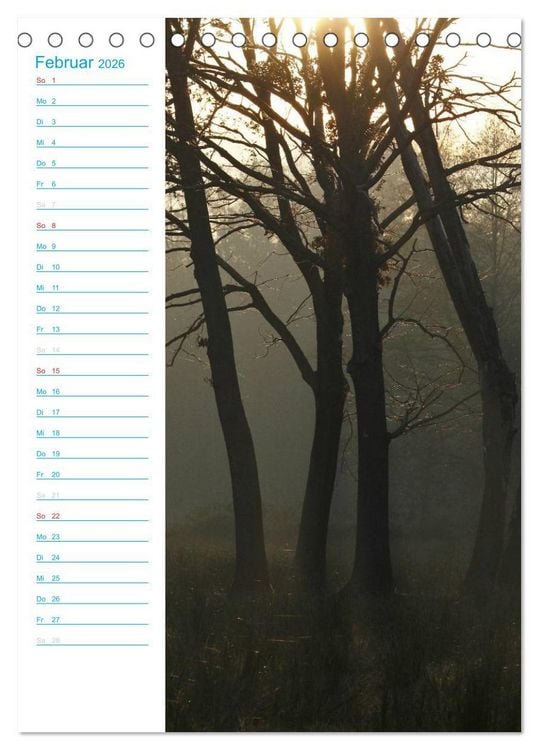 Produktbild: Wunderbarer Spreewald (Tischkalender 2026 DIN A5 hoch), CALVENDO Monatskalender