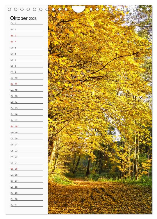 Produktbild: Nieste, Kleinod am Kaufunger Wald (Wandkalender 2026 DIN A4 hoch), CALVENDO Monatskalender