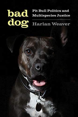 Produktbild: Bad Dog