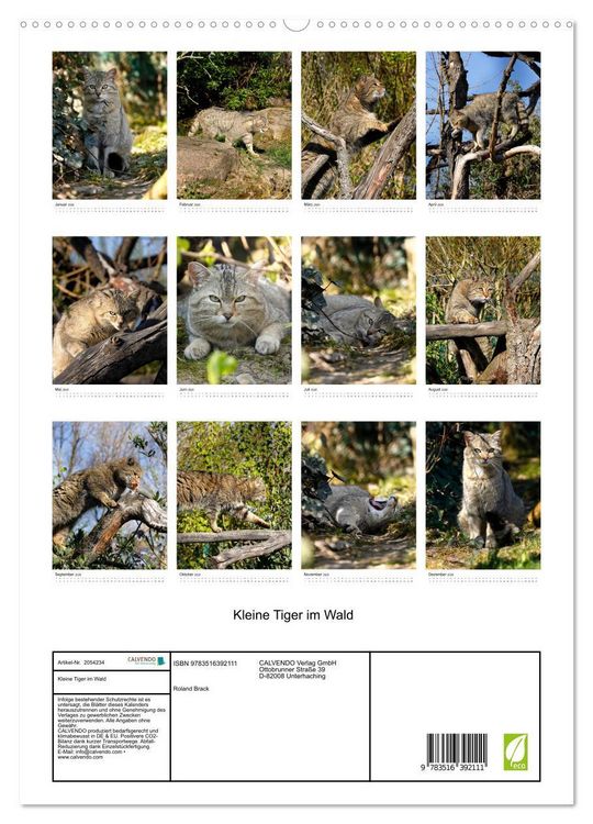Produktbild: Kleine Tiger im Wald (hochwertiger Premium Wandkalender 2026 DIN A2 hoch), Kunstdruck in Hochglanz