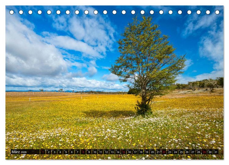 Produktbild: Patagonien und Feuerland (Tischkalender 2026 DIN A5 quer), CALVENDO Monatskalender