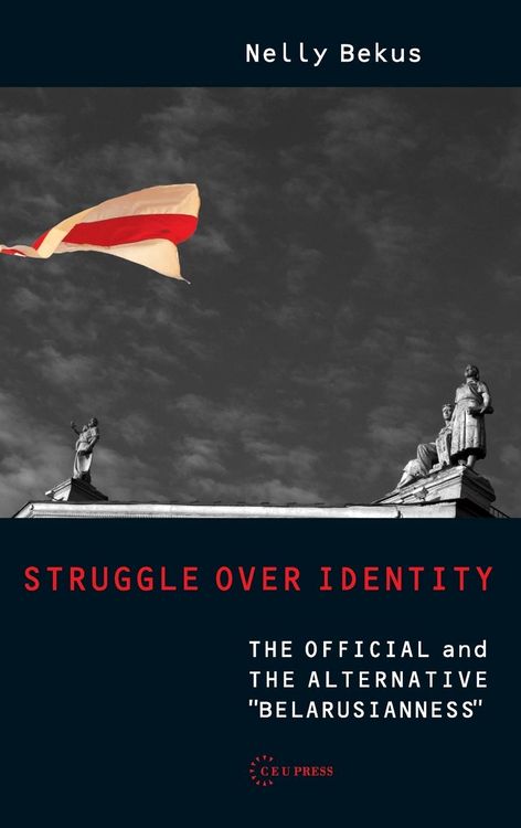 Produktbild: Struggle Over Identity