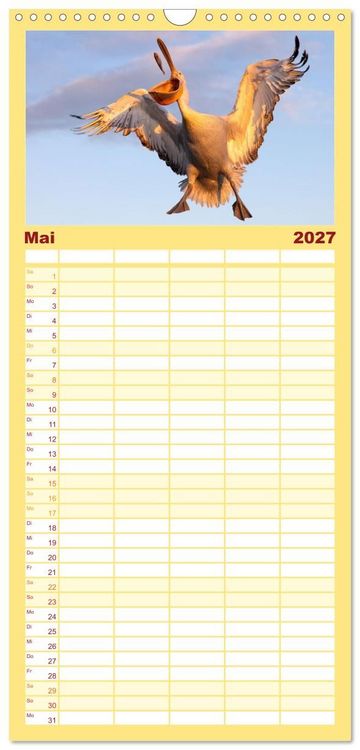 Produktbild: Familienplaner 2027 - Krauskopfpelikane mit 5 Spalten (Wandkalender, 21 x 45 cm) CALVENDO